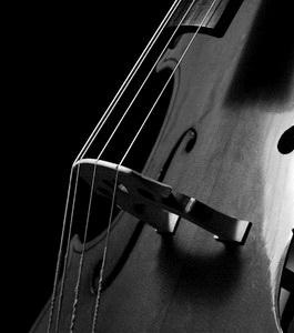 Cello Concerto,  (Dittersdorf)