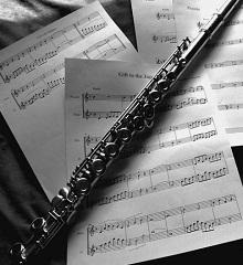 Flute Concerto 1 in d-moll,  (Lebrun)