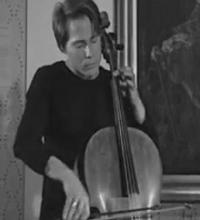 Cello concerto No. 4 in D minor, WD 795 (Zani)