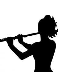 Flute Concerto in D major,  ()